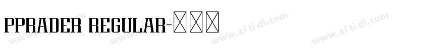 pprader regular字体转换 pprader regular字体转换